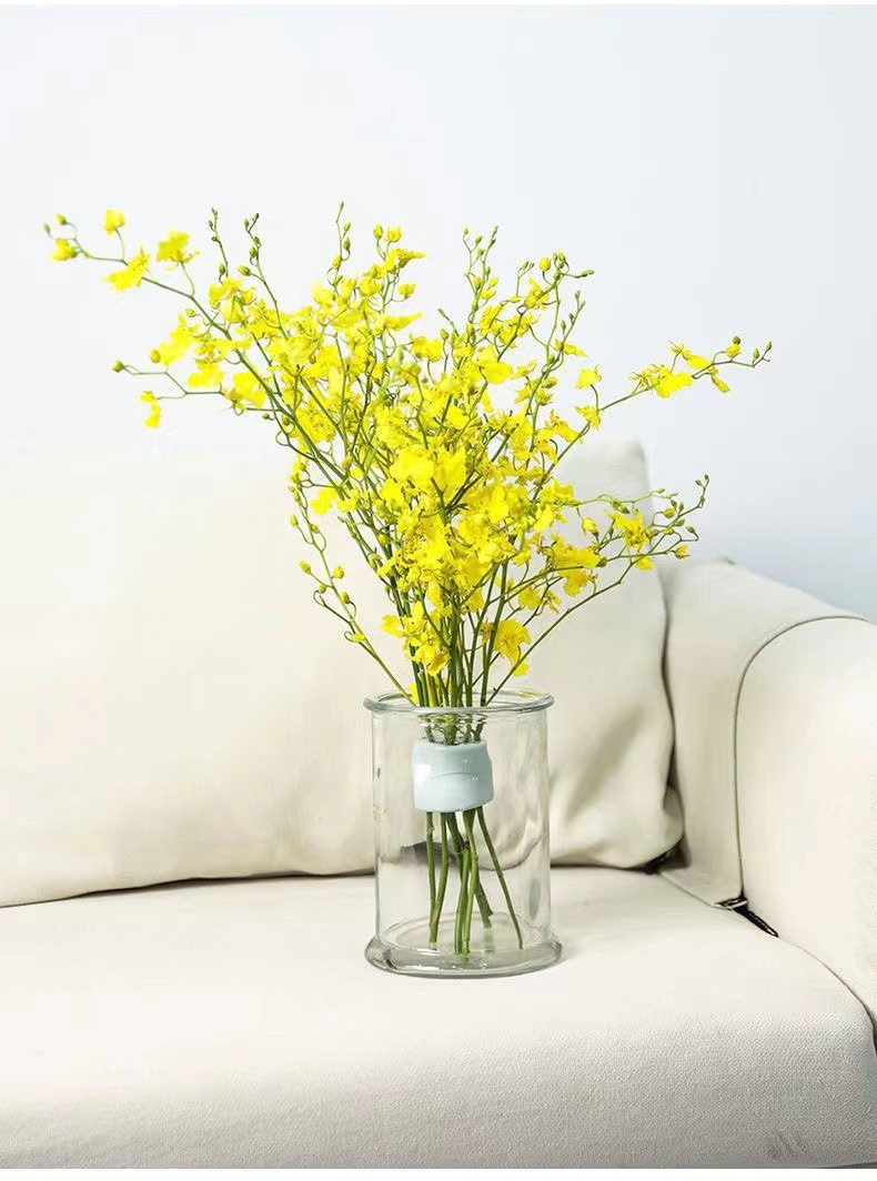 Spiralvormige stengelhouder vo - Ikebana Vase Kenzan recensie en prijs